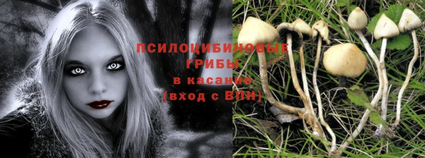 прущие крисы Козельск