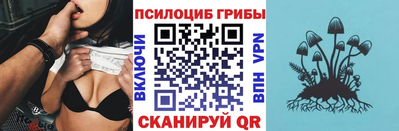 Купить где  Кемерово  Псилоцибиновые грибы Cubensis 